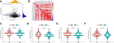 PAIP2 is a potential diagnostic and prognostic biomarker of breast cancer and is associated with immune infiltration